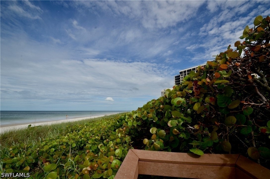 10851 Gulf Shore Drive - Photo 31