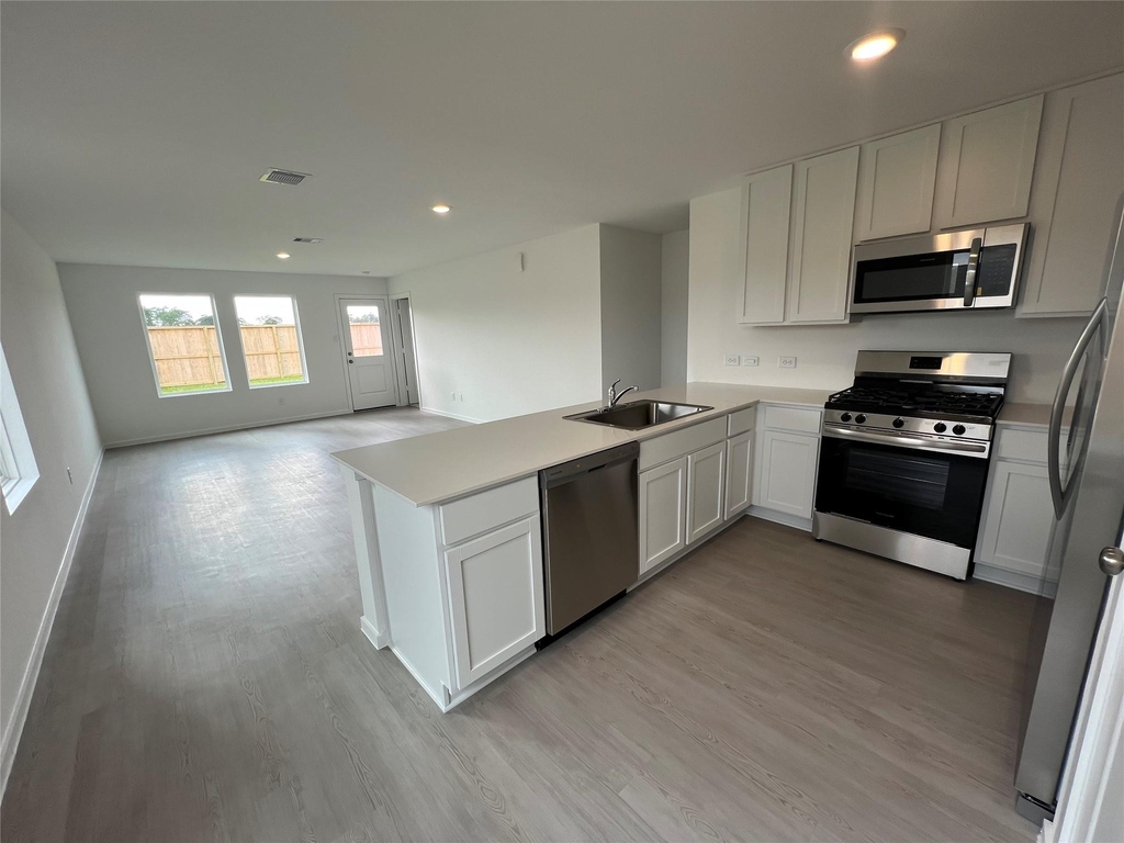 20027 Iron Winds Street - Photo 4