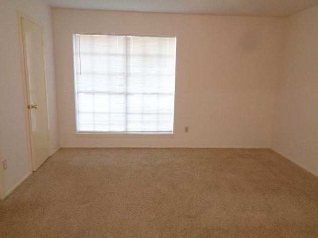 19806 Rustlewood Drive - Photo 15