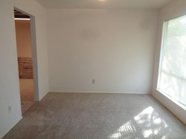19806 Rustlewood Drive - Photo 3