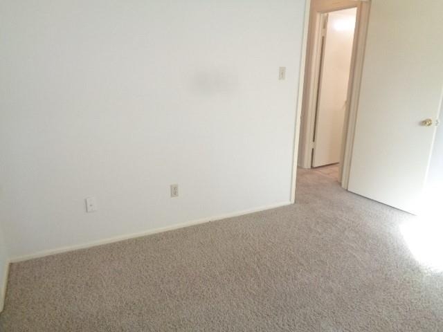 19806 Rustlewood Drive - Photo 11