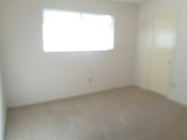 19806 Rustlewood Drive - Photo 9