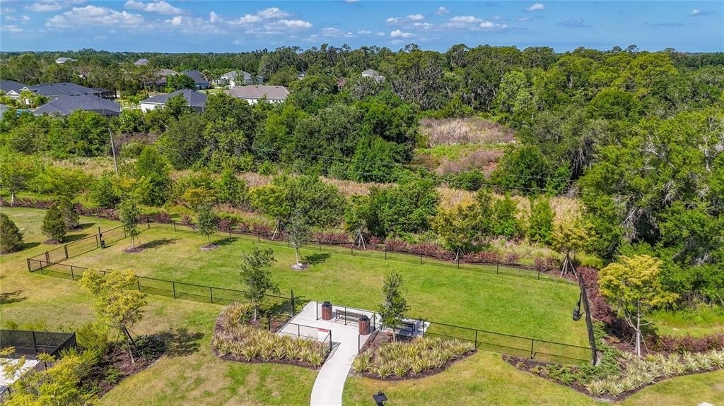 13019 Bluff Oak Way - Photo 29