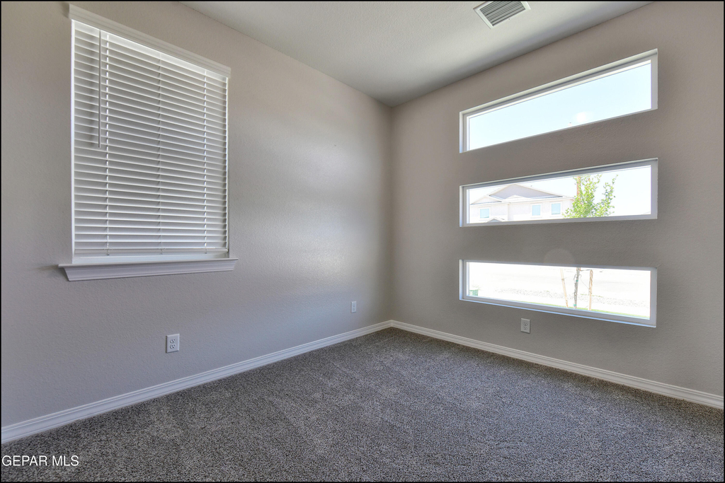 12868 Star Gaze Avenue - Photo 41