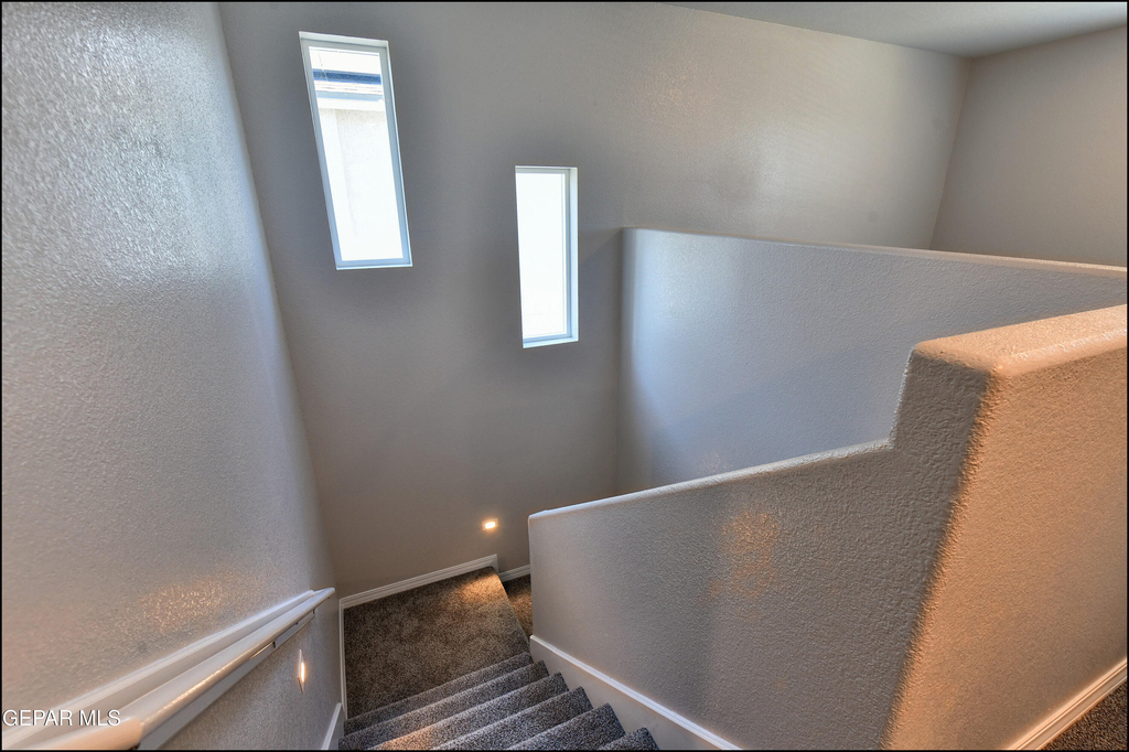 12868 Star Gaze Avenue - Photo 23