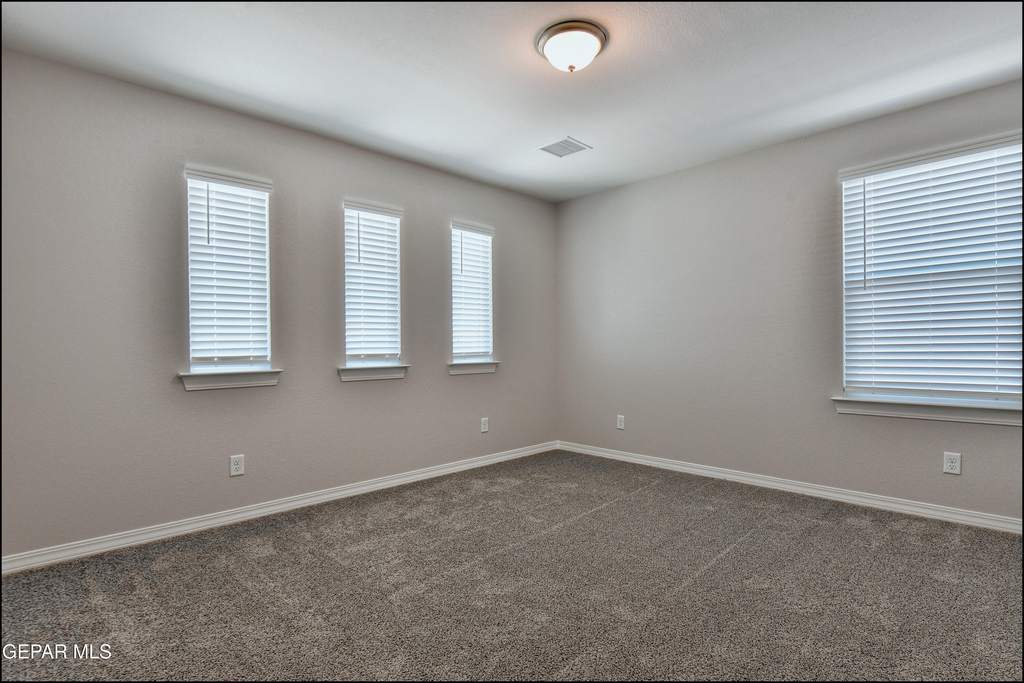 12868 Star Gaze Avenue - Photo 43