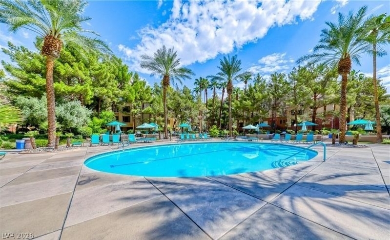 260 E Flamingo Road - Photo 4