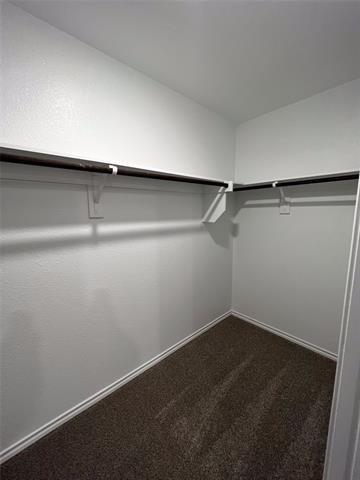 2304 Alamo Drive - Photo 13