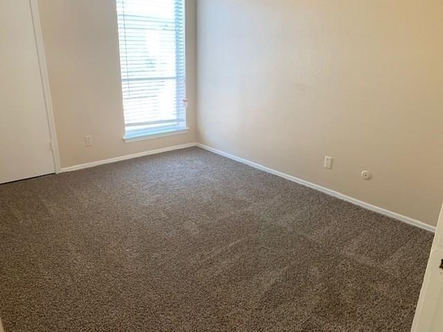 207 Trellis Place - Photo 9