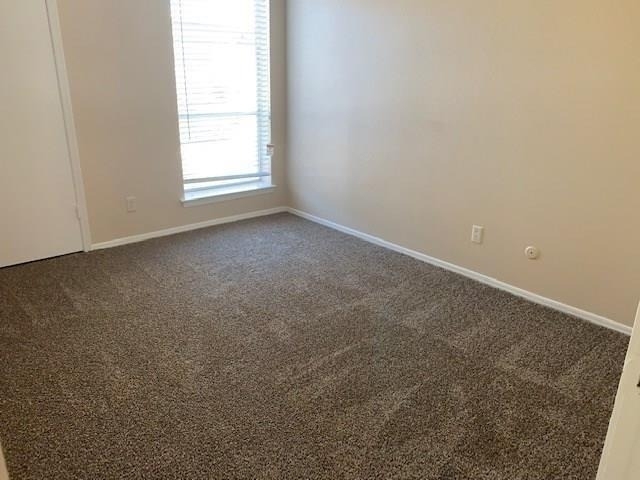 207 Trellis Place - Photo 8