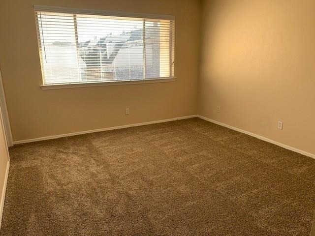 207 Trellis Place - Photo 10