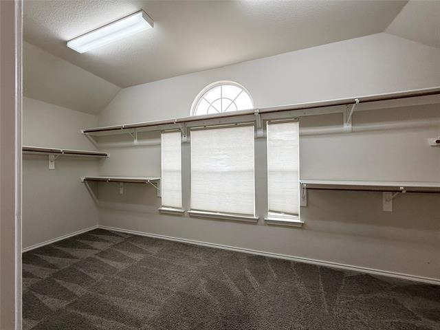 5229 Saint Croix Lane - Photo 24