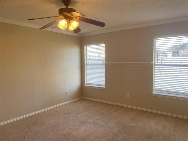 4241 Iris Avenue - Photo 3