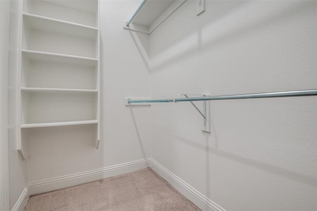13280 Jonata Street - Photo 14