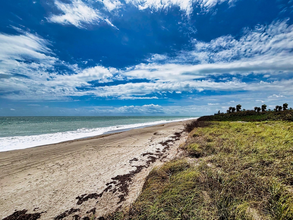 355 S Ocean Drive - Photo 48