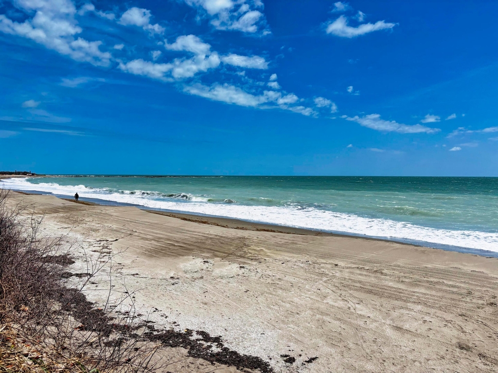 355 S Ocean Drive - Photo 26