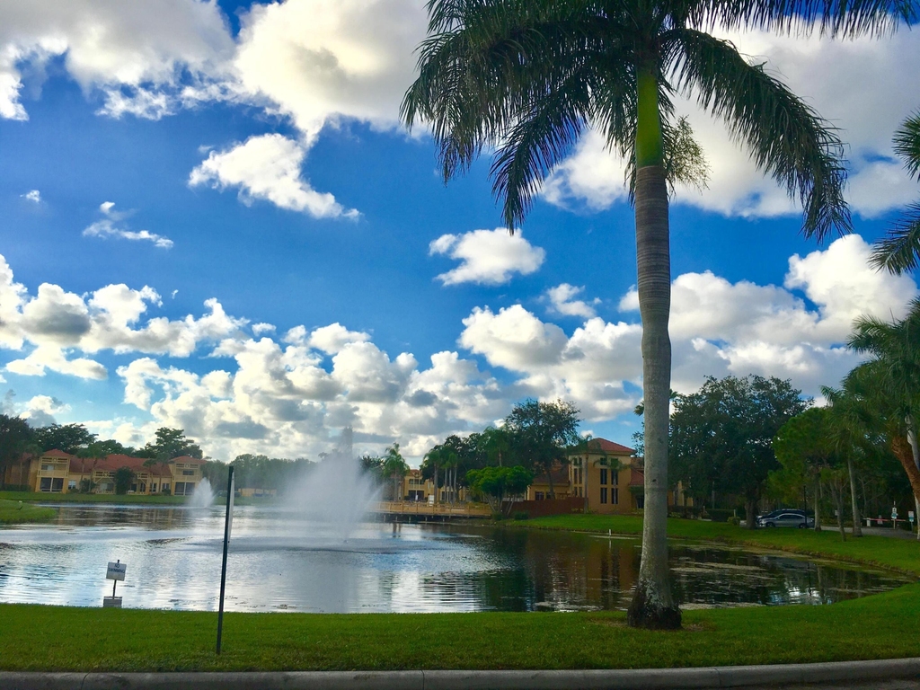 4863 Via Palm Lakes - Photo 36