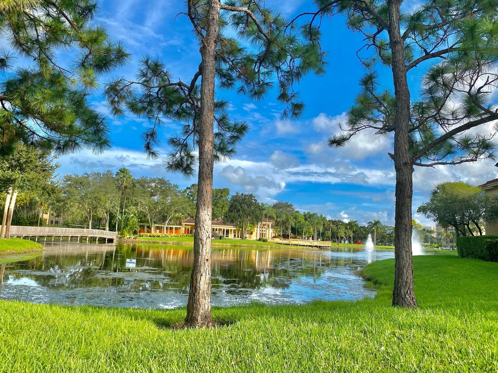 4863 Via Palm Lakes - Photo 35