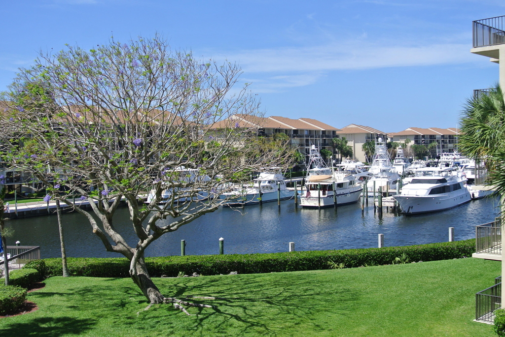 1201 Seafarer Circle - Photo 16