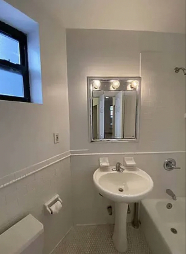 534 East 83rd Street - Photo 4