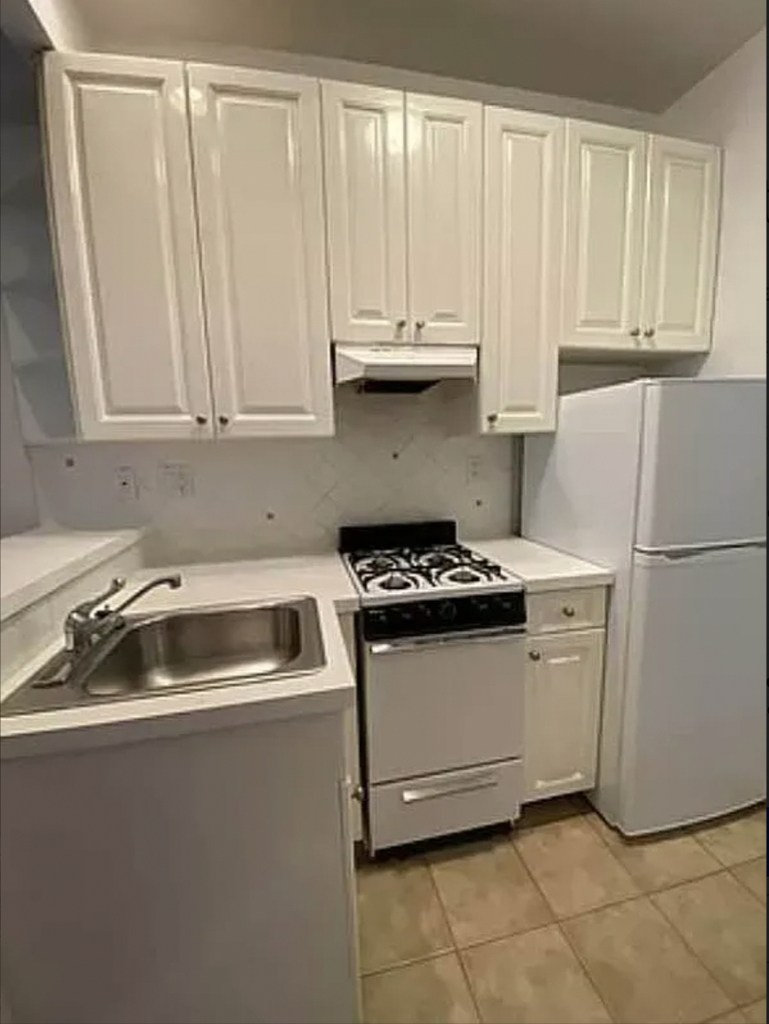 534 East 83rd Street - Photo 3