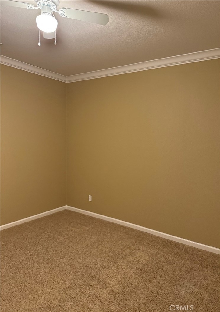 118 Montage Drive - Photo 31