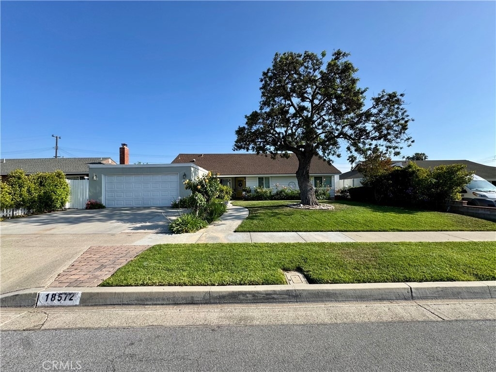 18572 Avolinda - Photo 4
