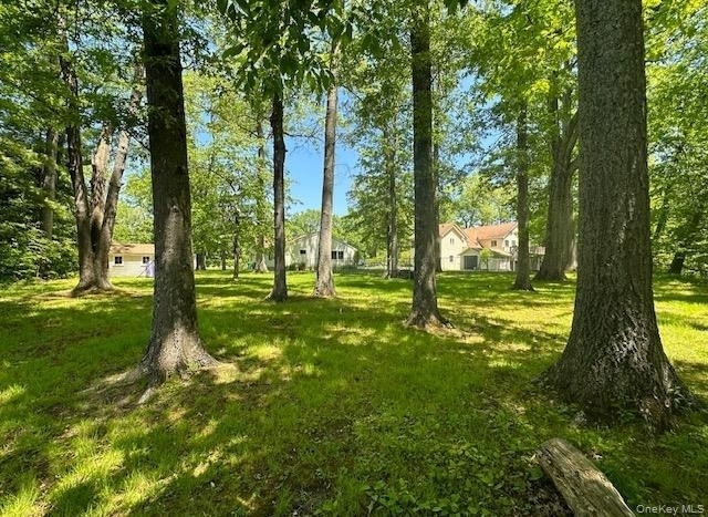 1055 Bruynswick Road - Photo 4