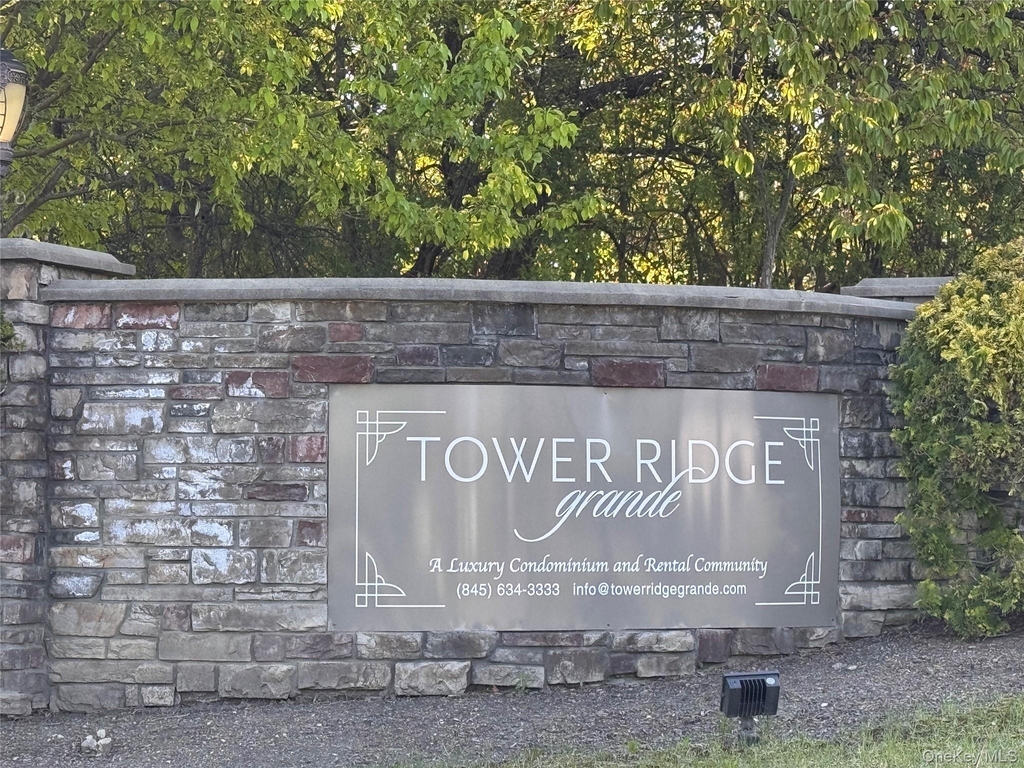 935 Tower Ridge Circle - Photo 6