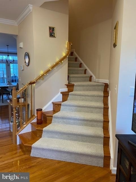 10631 Sandown Way - Photo 8