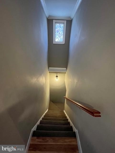 250 E 7th Street - Photo 13