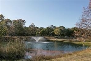 700 Mandarin Flyway - Photo 36