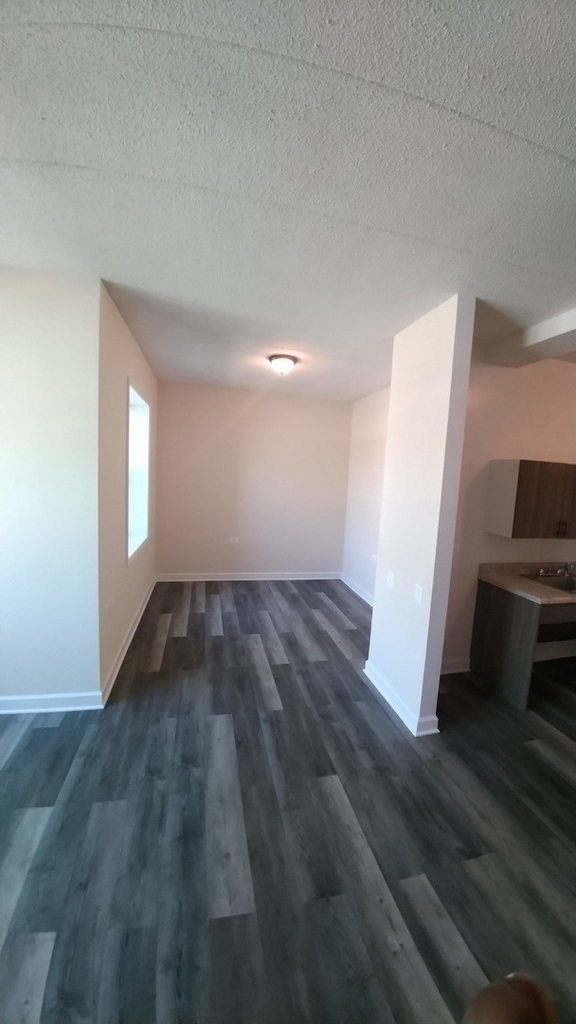 4752 S Wabash Avenue - Photo 7