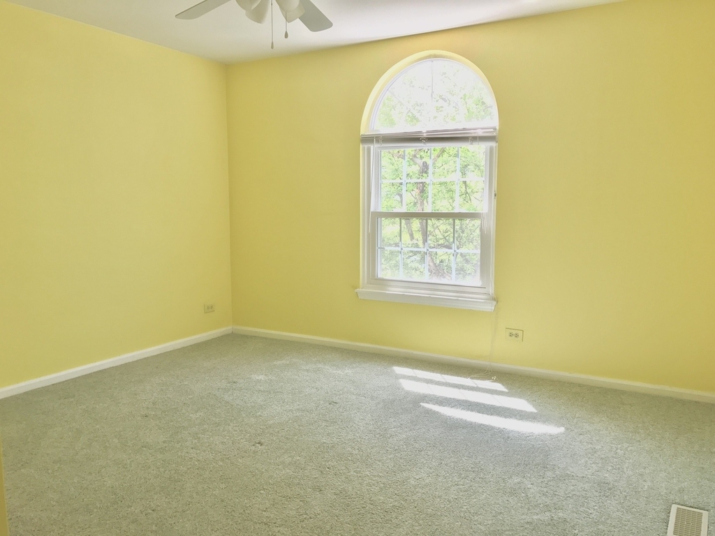 241 Shadybrook Lane - Photo 11