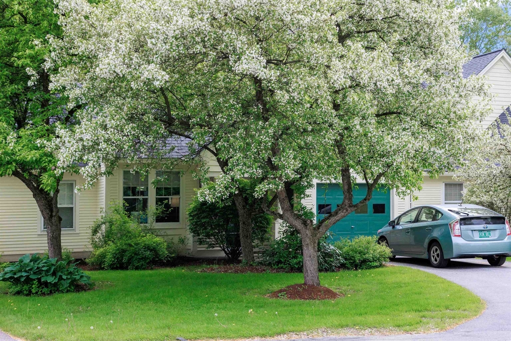 43 Eastman Farm - Photo 14