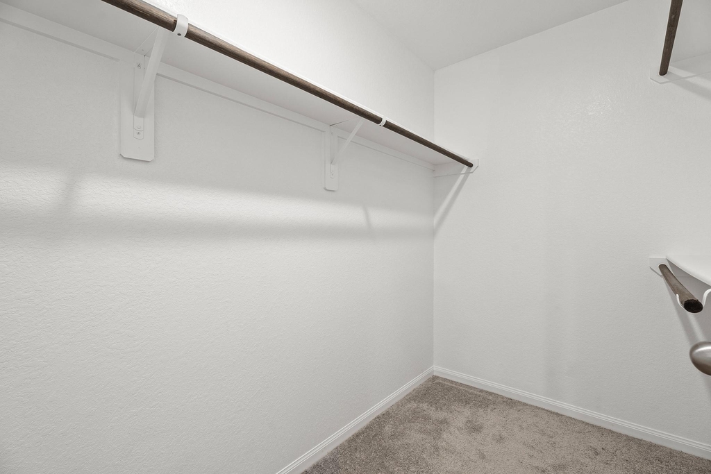 5345 Basquiat Drive - Photo 13