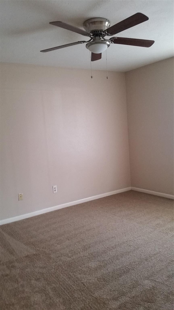 1715 Hazelwood Street - Photo 8