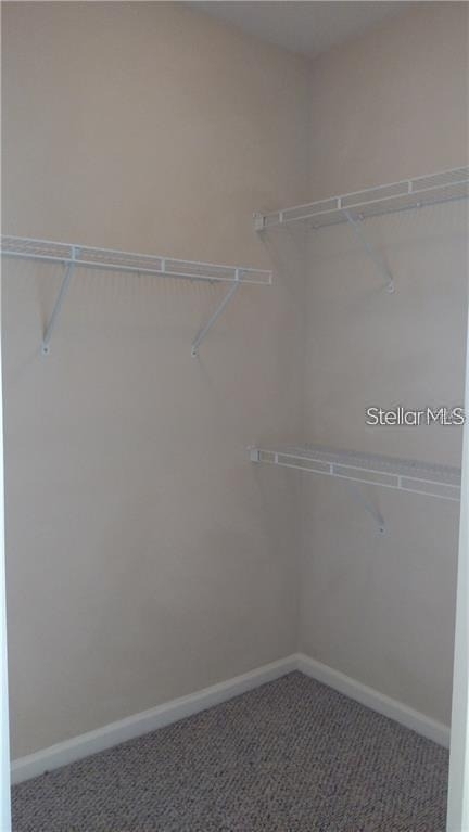 4207 S Dale Mabry Highway - Photo 14