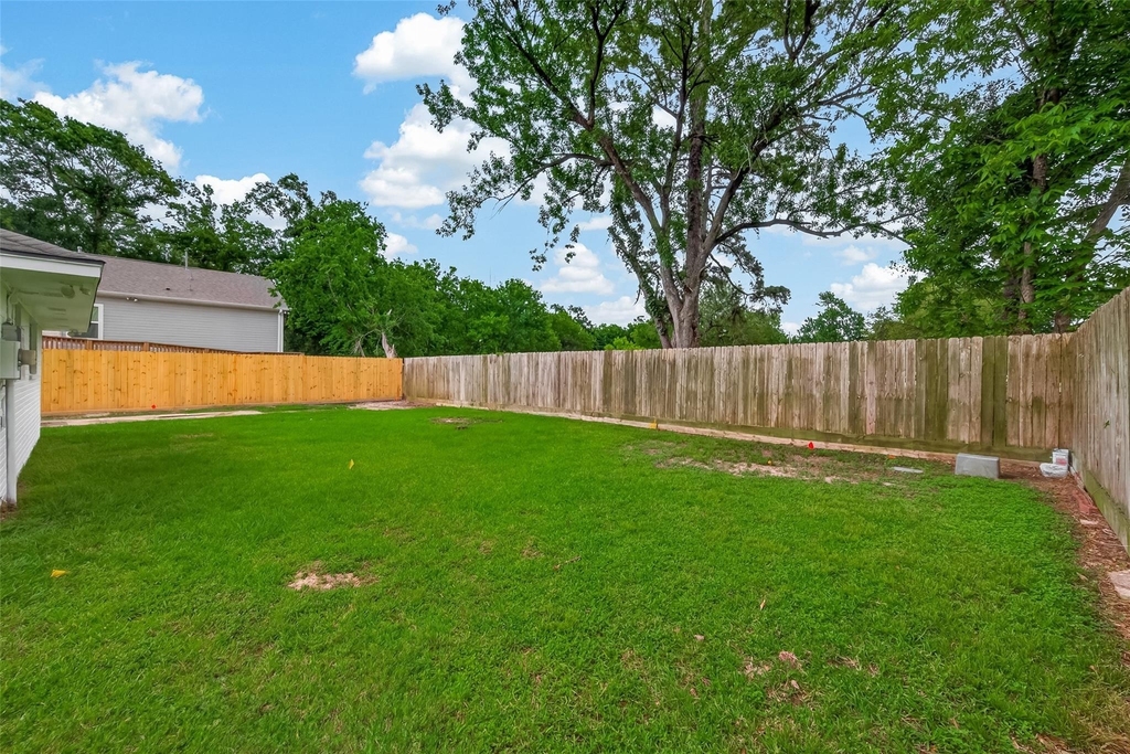 6311 Tall Willow Drive - Photo 33