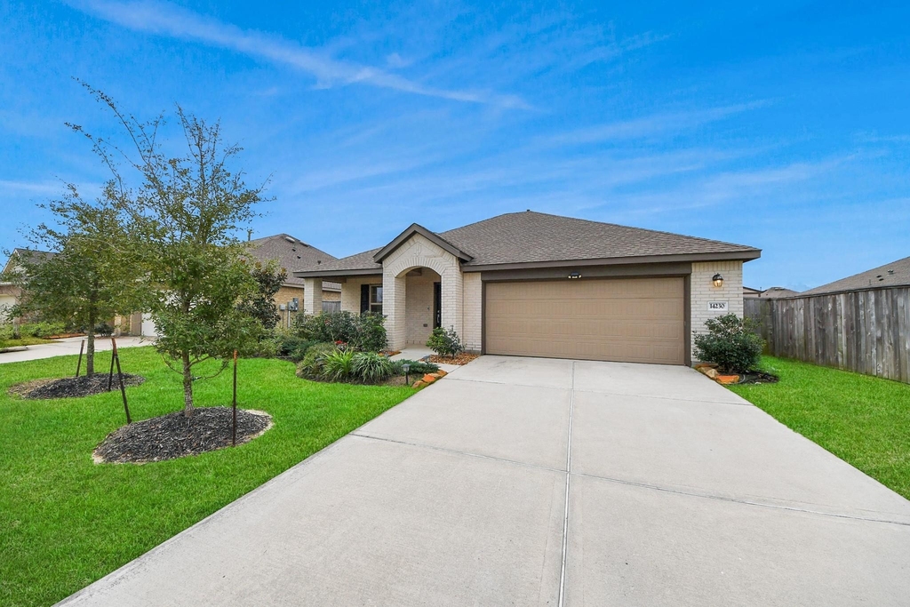 14230 Elrington Hollow Trail - Photo 4