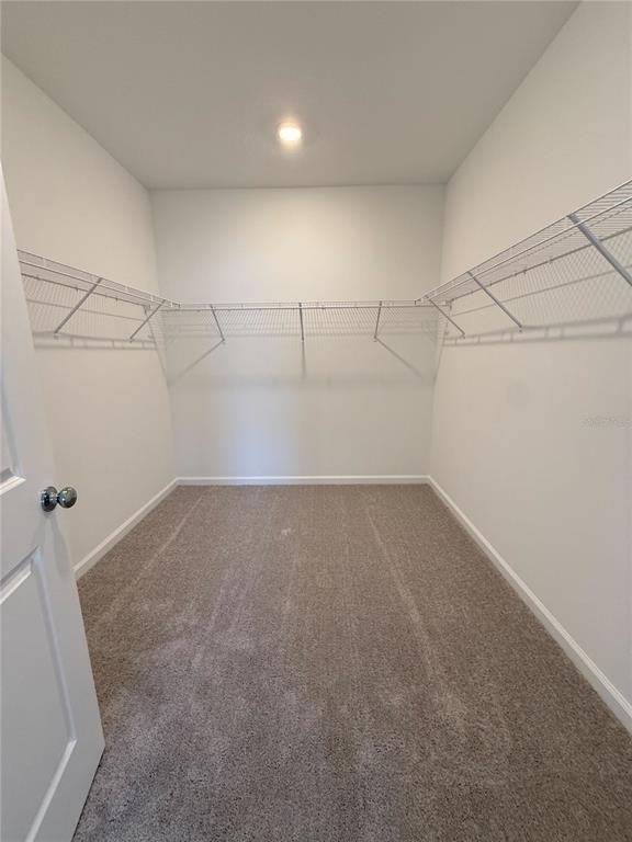 3072 Chromatic Street - Photo 14