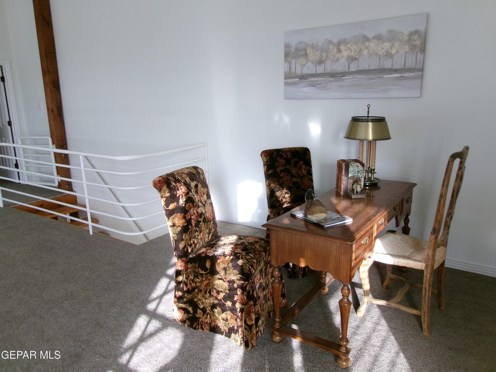 294 Vaquero Lane - Photo 13