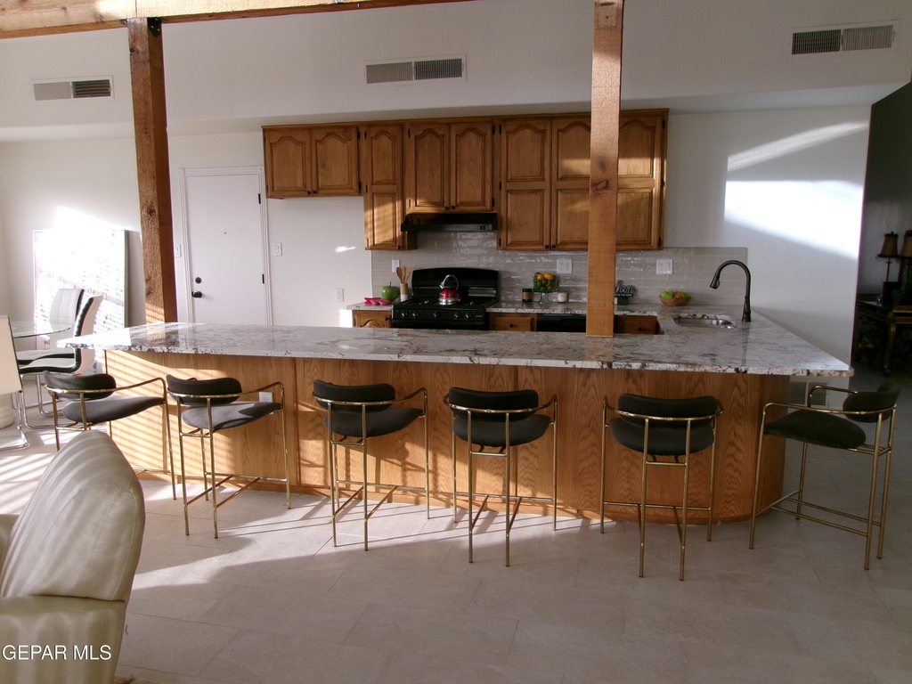 294 Vaquero Lane - Photo 11
