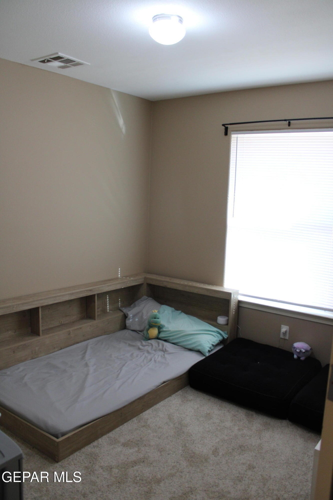 12928 Hueco Pit Drive - Photo 5