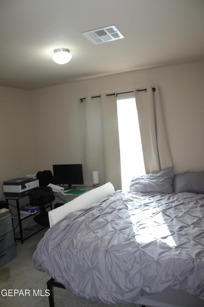 12928 Hueco Pit Drive - Photo 4