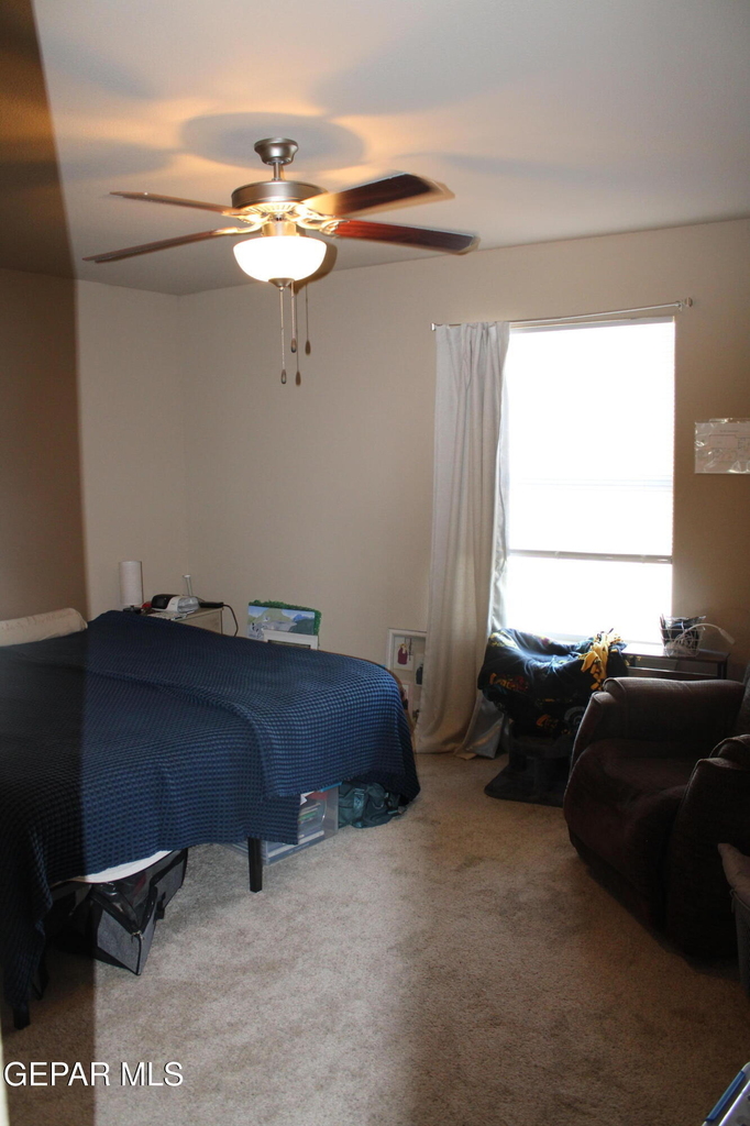 12928 Hueco Pit Drive - Photo 7