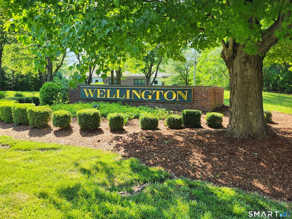 96 Wellington Drive - Photo 0