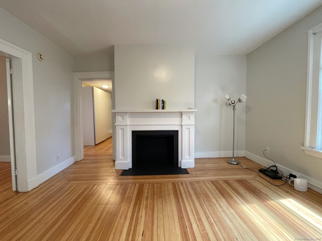 48 Lyon Street - Photo 2