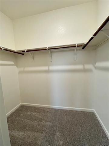 6222 Old Bridge Way - Photo 9