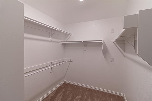 3004 Teak Drive - Photo 24
